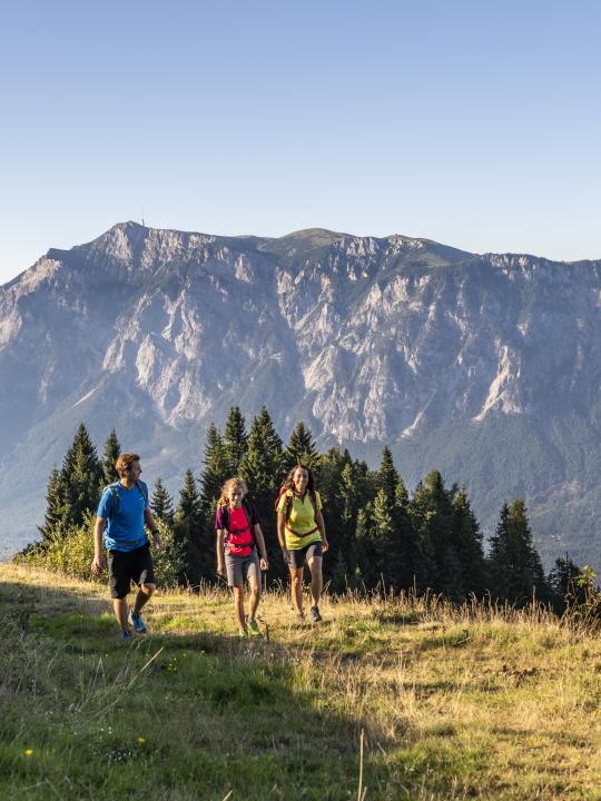 Drei Personen wandern entlang eines grünen Pfades in den Alpen, umgeben von majestätischen Berggipfeln. Die Morgen- oder Abendsonne taucht die Szene in ein warmes Licht, während der klare Himmel einen atemberaubenden Blick auf die Landschaft bietet.