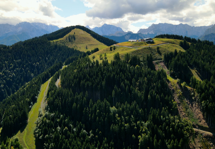 Dreieck 7